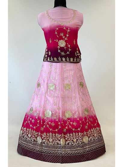 10 Kali Humrahi Pure Receiption Wedding Rajputi Poshak with Chanderi Work-91444 (Copy)