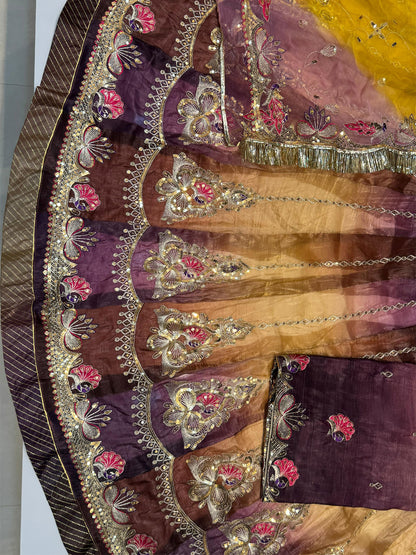 Heavy Gold Crush Shaded 16 Kali Premium quality Wedding Sangeet Rajputi Poshak-91430