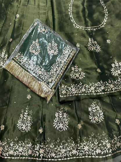 Tissue High Quality Wedding Party Wear Traditional Rajputi Poshak with Pittan work-81531