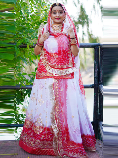 Double Shaded Royal Pure Rajputi Poshak with Barik Zari Sequence Work-91705