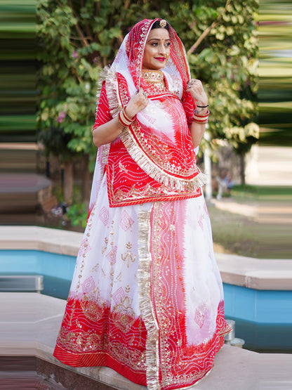 Double Shaded Royal Pure Rajputi Poshak with Barik Zari Sequence Work-91705