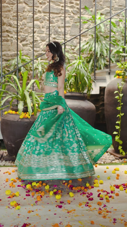 Dola Silk jacquard Traditional Reception Semi-Stitched Lehenga Choli In Blue color-81152